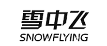 ѩwSnowFlying
