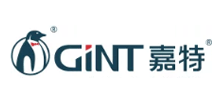 GINT