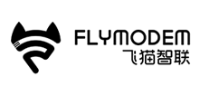 w؈FLYNODEM