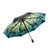 ð؛