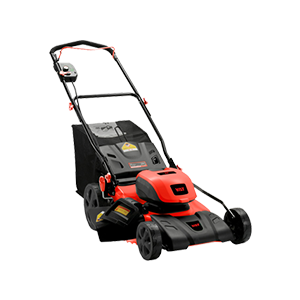 ݙC